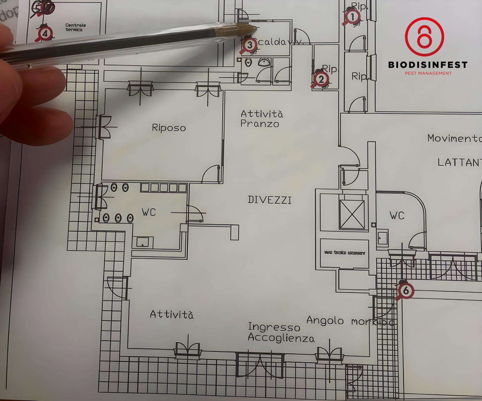 Monitoraggio infestanti: la chiave per una gestione aziendale sostenibile